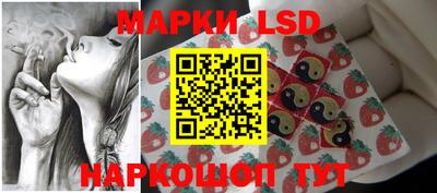 стаф Кудрово