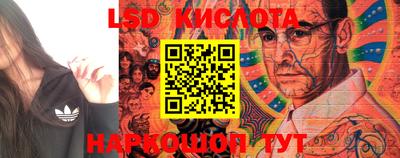 стаф Кудрово
