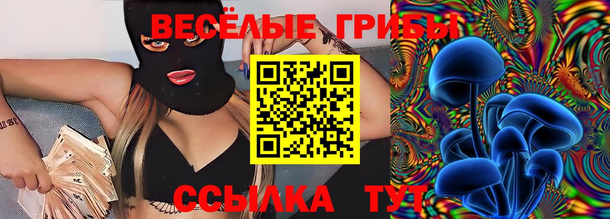 Псилоцибиновые грибы Magic Shrooms  Вход с VPN  Лениногорск 