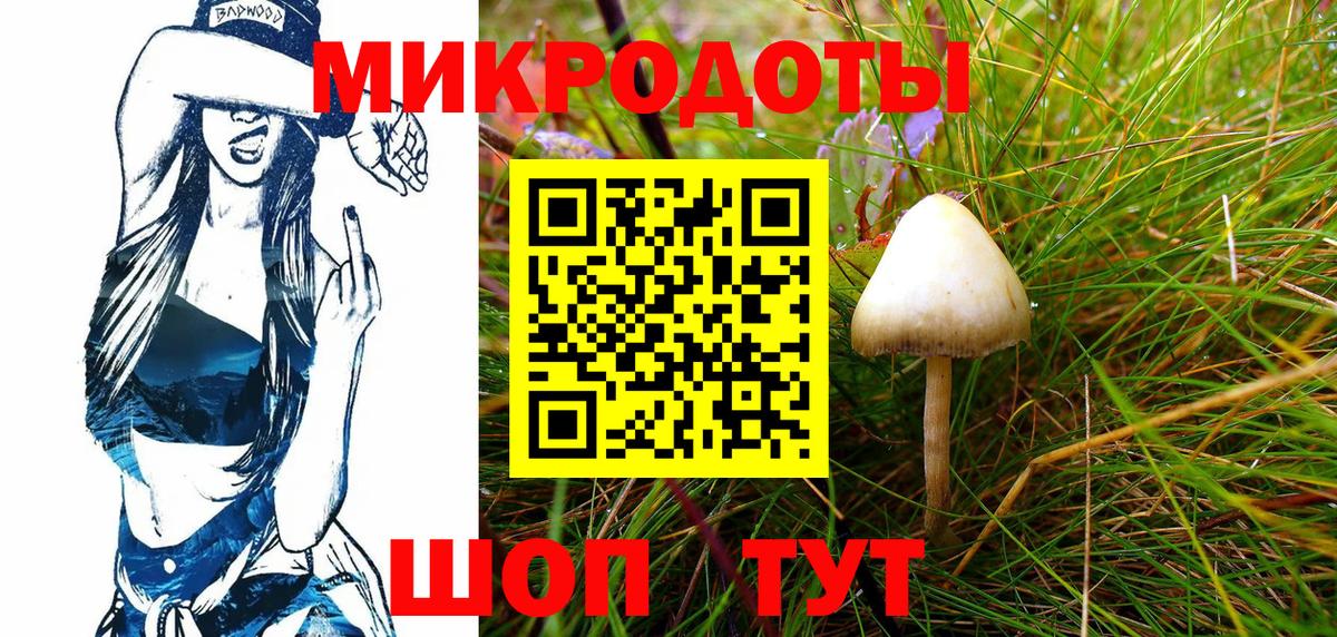 Псилоцибиновые грибы Cubensis Лениногорск